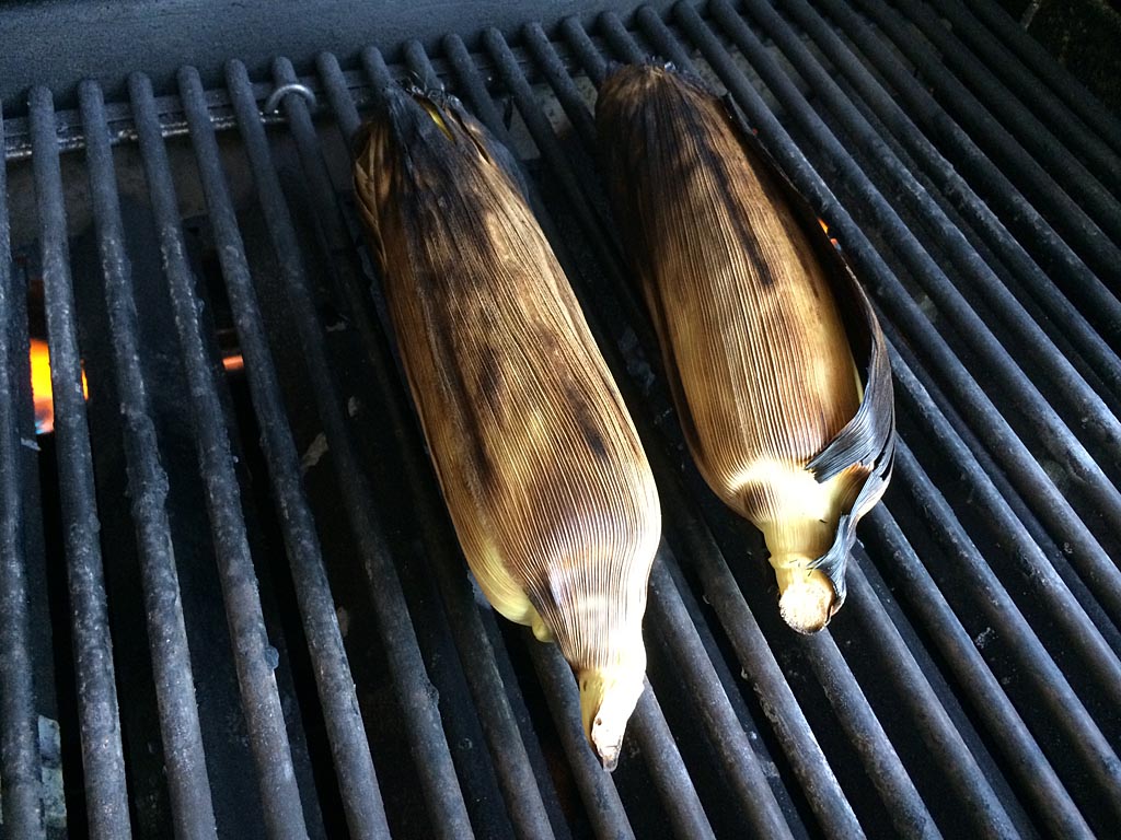 Corn ready to be shucked