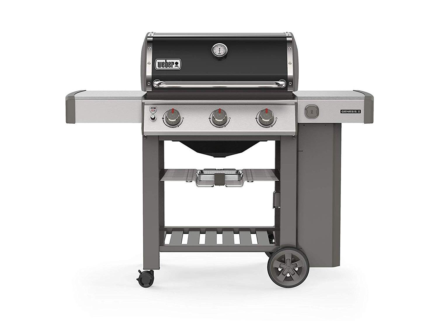 Weber Genesis II E-310