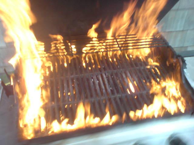 Grease fire in a Weber gas grill